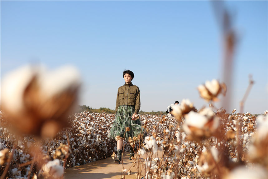 Fashion show held in cotton field in Xinjiang