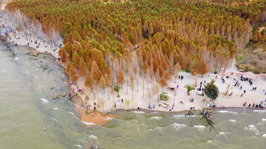 Yunnan stays active in biodiversity conservation