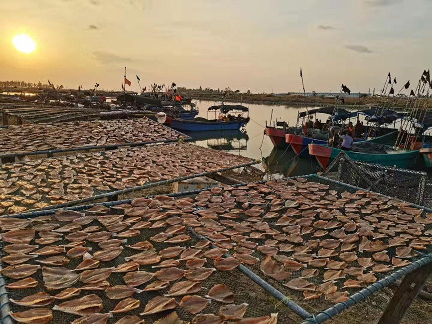 Fishermen in S China's Hainan dry their catch in the winter sun