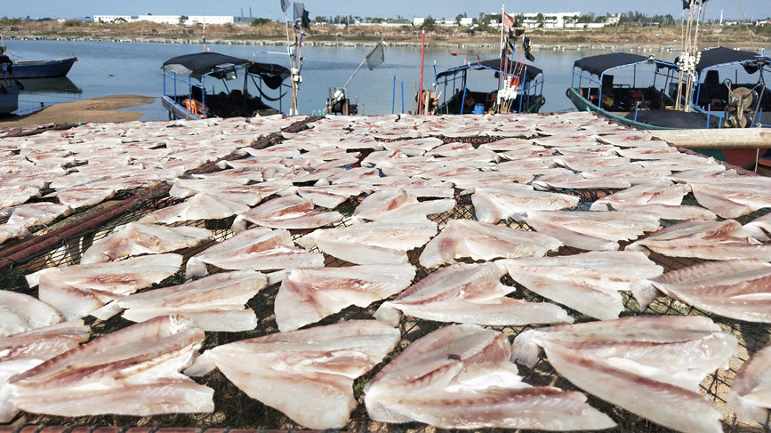Fishermen in S China's Hainan dry their catch in the winter sun