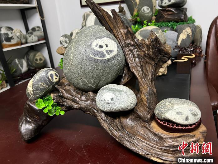 Man collects 300 precious stones that resemble the appearance of prized giant pandas