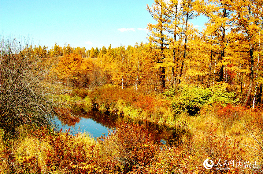 In pics: autumn scenery of Arxan city in Inner Mongolia