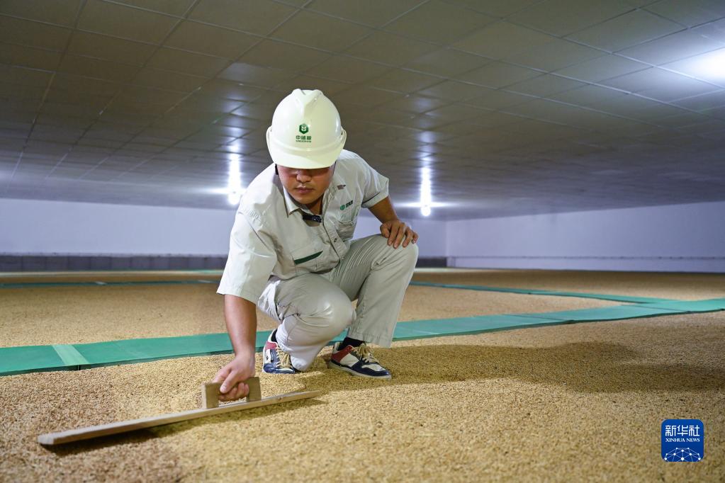 In pics: A glimpse of grain reserve depot in Fuzhou, SE China's Fujian