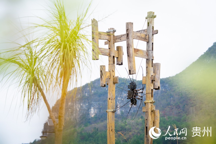 Art injects fresh life into previously impoverished village in SW China's Guizhou