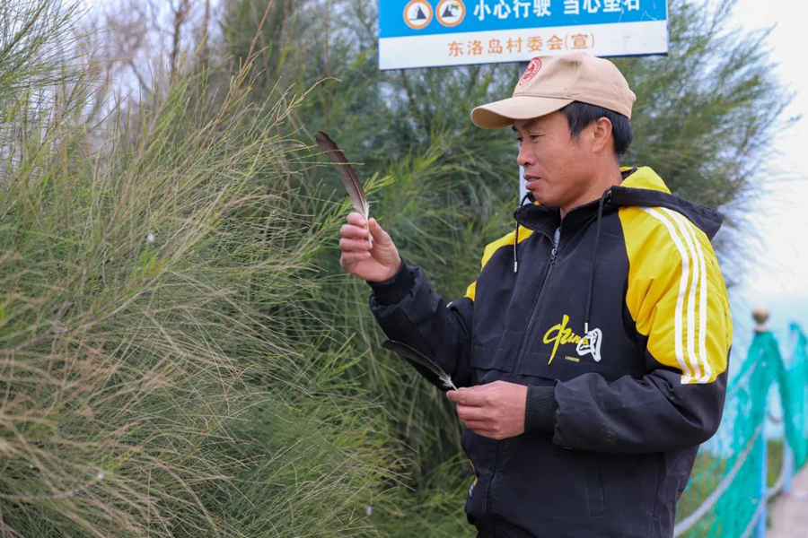 County in SE China's Fujian sees progress in protection of migratory birds