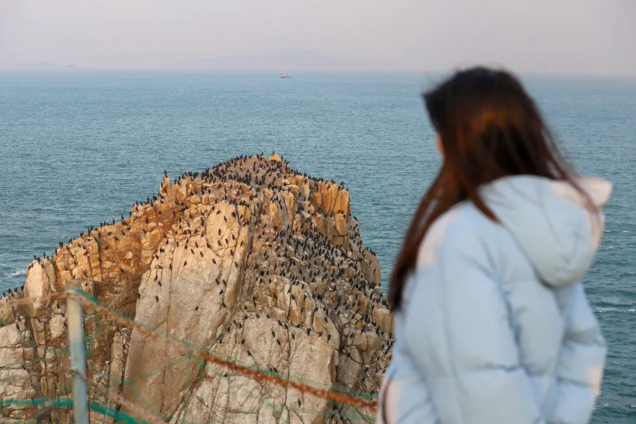 County in SE China's Fujian sees progress in protection of migratory birds