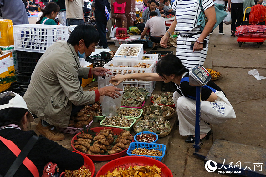 SW China's Yunnan enters peak season for trading wild mushroom