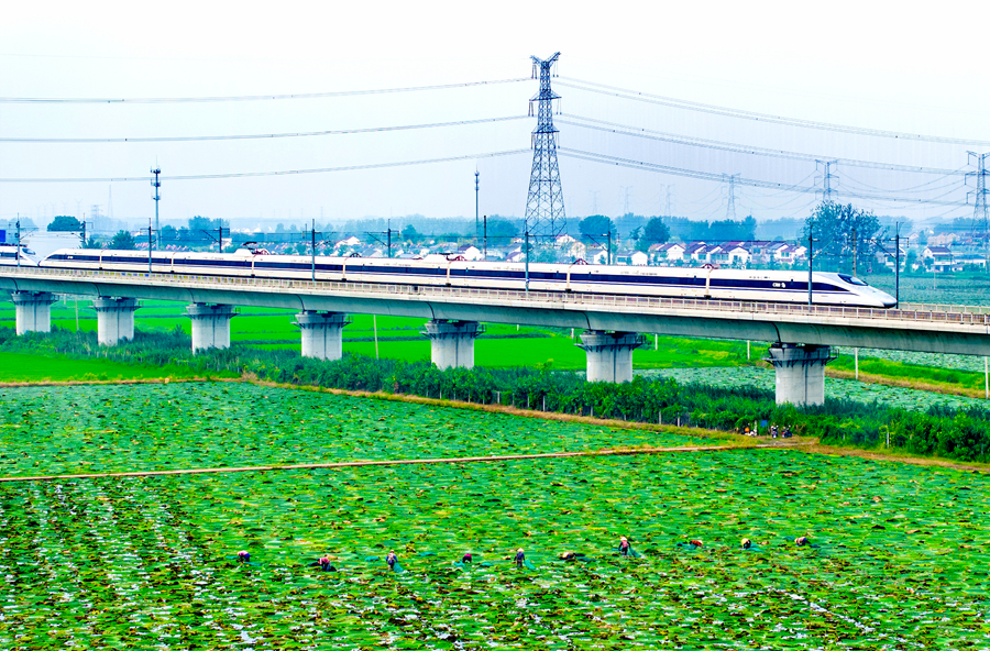 Prickly waterlily seeds become major industry of district in Huaian, E China's Jiangsu