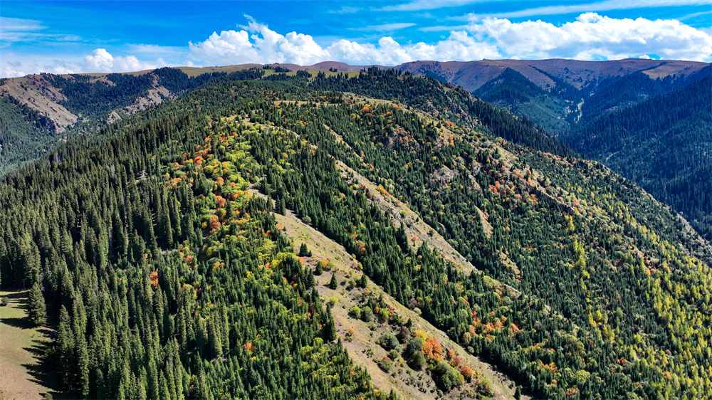 Breathtaking aerial views of Duolang Canyon in NW China's Xinjiang