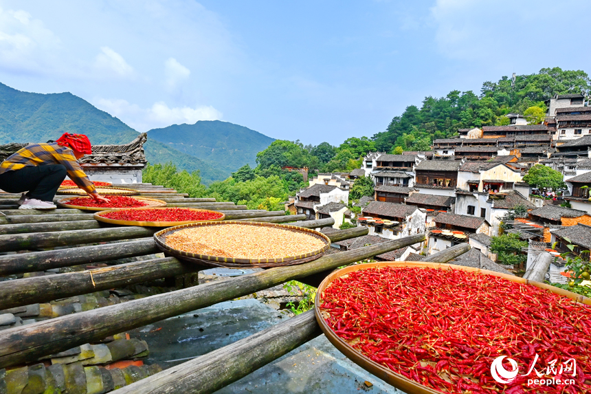 Villagers sun-dry crops in Wuyuan, E China's Jiangxi