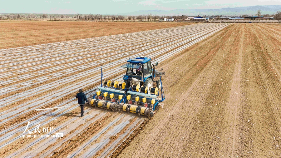 High-tech empowers sowing of corn in NW China's Xinjiang