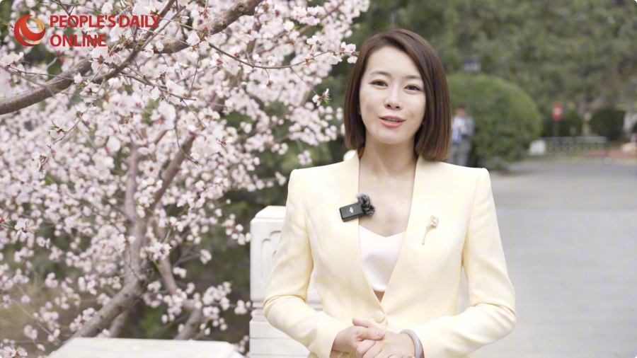 Foreign investors confidence high at CDF