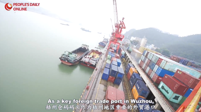 Ancient tea route ships sail from Wuzhou to Greater Bay Area