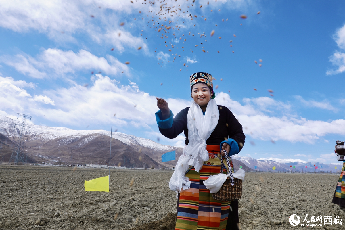 SW China's Xizang marks spring plowing with traditional ceremonies