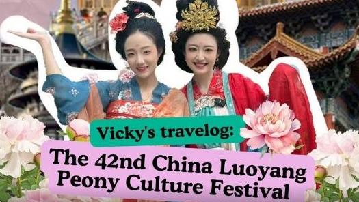 Vicky's travelog: China Luoyang Peony Culture Festival