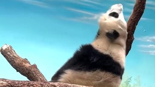 Meeting a friend in the Moscow Zoo