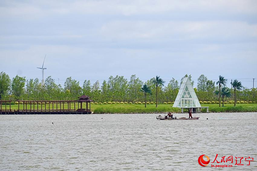 Daling River estuary in NE China's Liaoning home to nearly 100 bird species