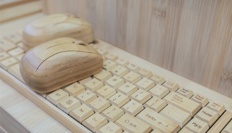 Chinese town taps bamboo to fuel eco-friendly manufacturing