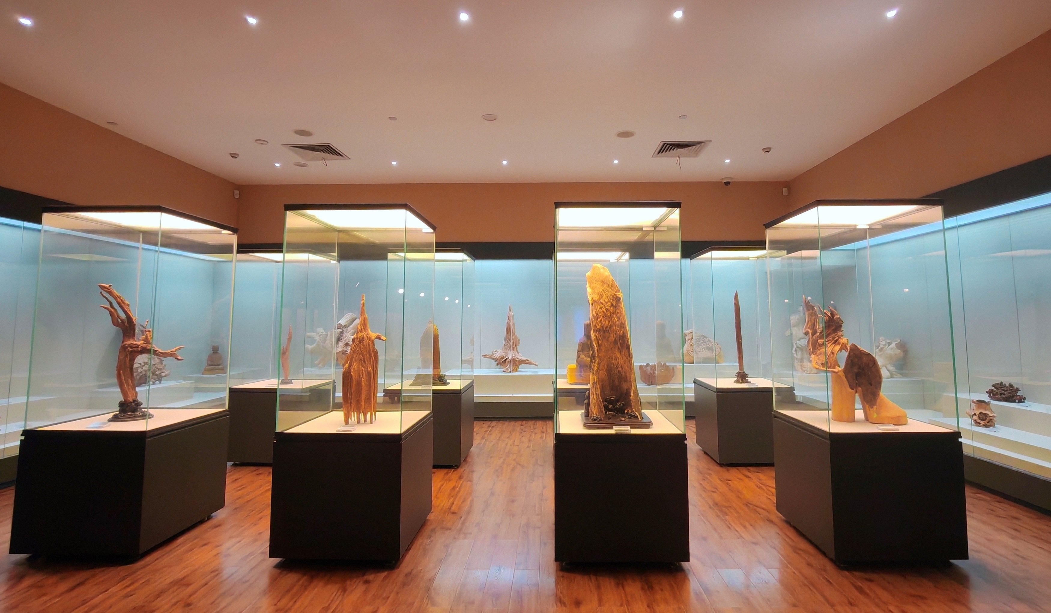 Ancient agarwood tradition thrives in Dongguan's Guanxiang Heritage Park