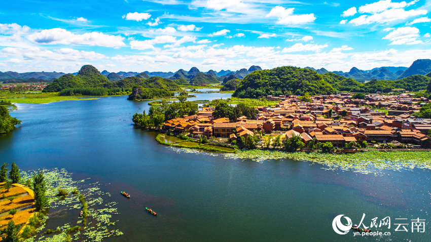 Summer lotus blooms lure tourists to Puzhehei in SW China's Yunnan