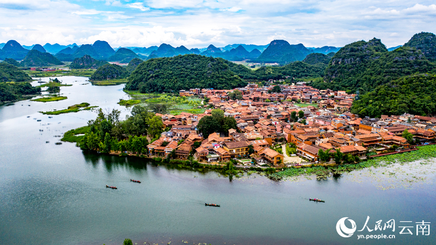 Summer lotus blooms lure tourists to Puzhehei in SW China's Yunnan