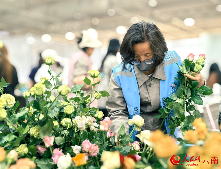 Fresh-cut flowers boost farmers' incomes in SW China's Yunnan