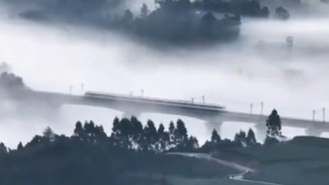 Train glides through ink-wash world