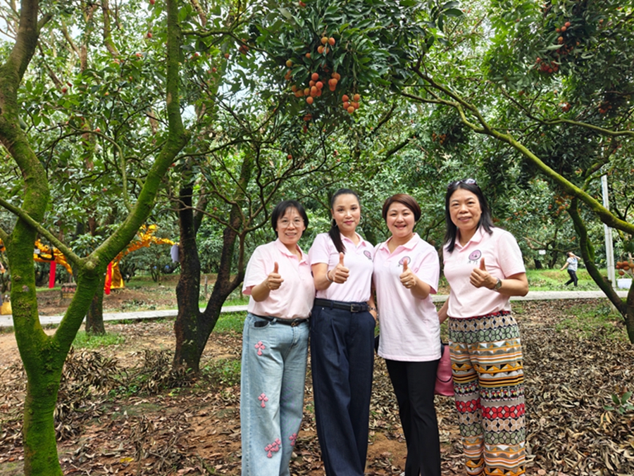 Farmers embrace bumper lychee harvest in Maoming, S China's Guangdong