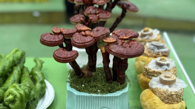 Over 3,000 agricultural innovation achievements on display in Wuhan, C China's Hubei