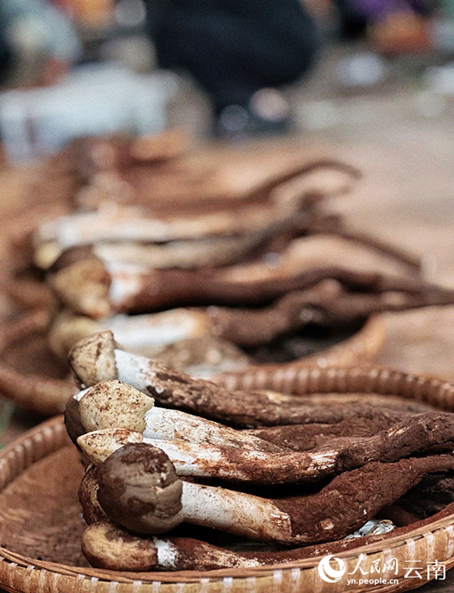 Wild mushrooms hit the market in SW China's Yunnan