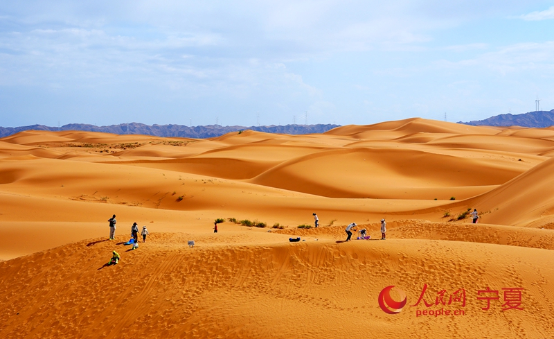 Zhongwei in NW China's Ningxia enhances desert tourism experiences