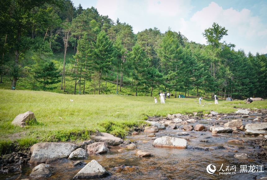 In pics: Deer park in NE China's Heilongjiang attracts visitors