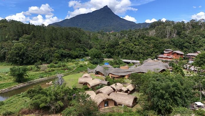 Once impoverished village in S China's Hainan thrives through tea and tourism
