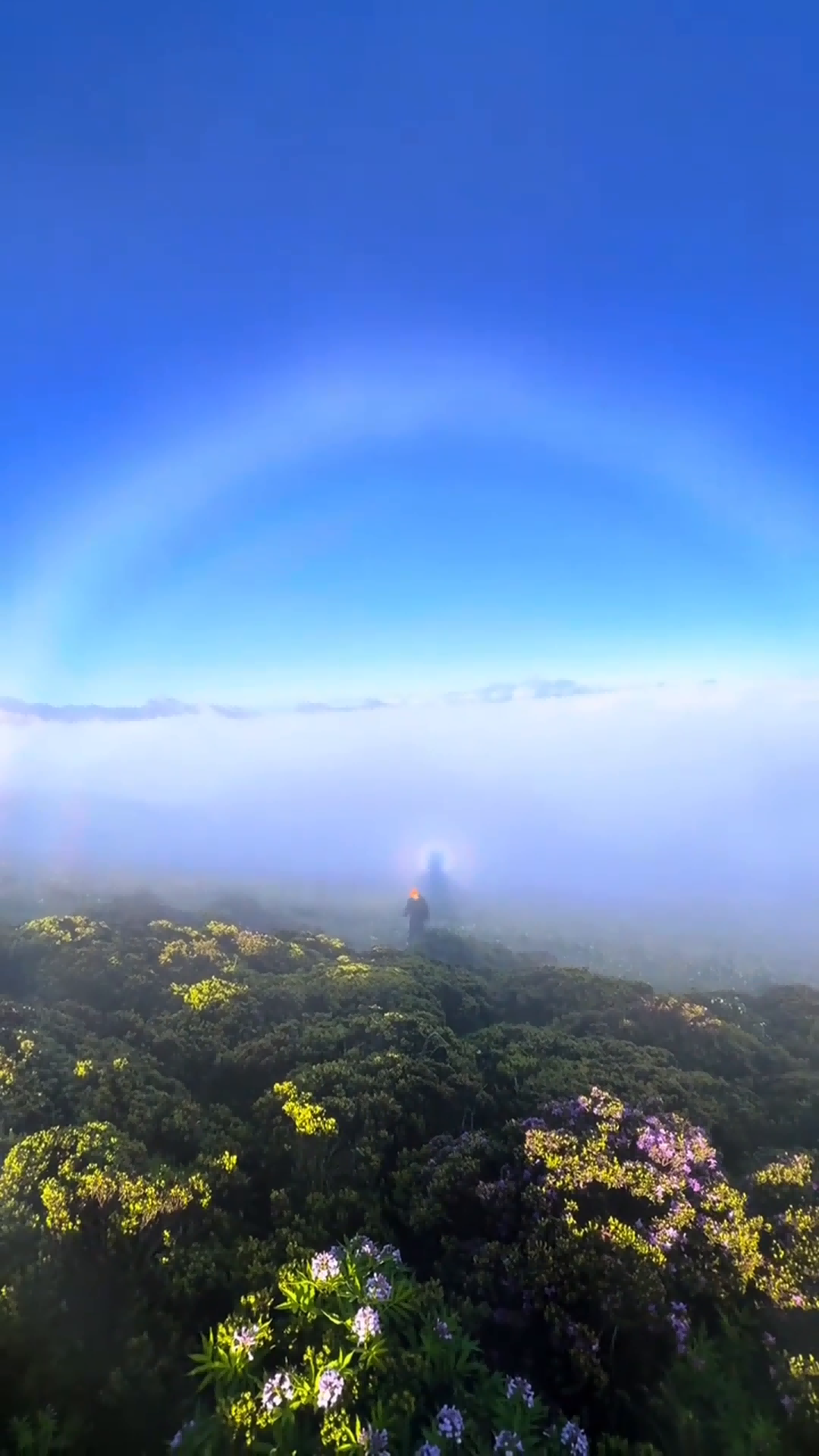 Mountain halo frames hiker