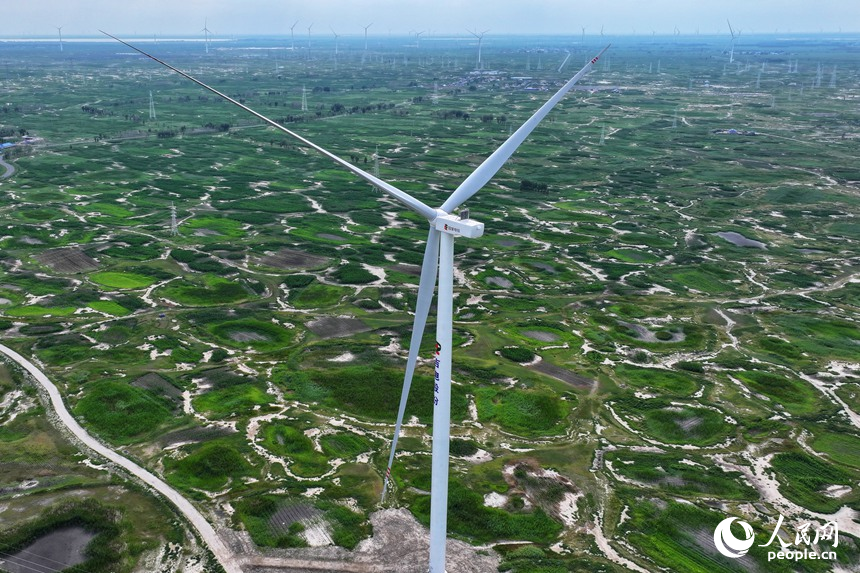 New energy projects spring up in western area of NE China's Jilin