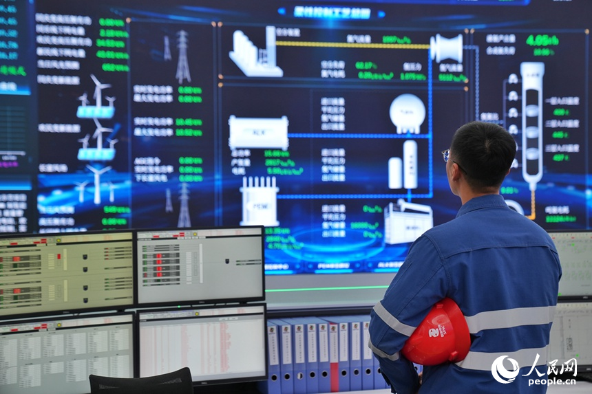 New energy projects spring up in western area of NE China's Jilin