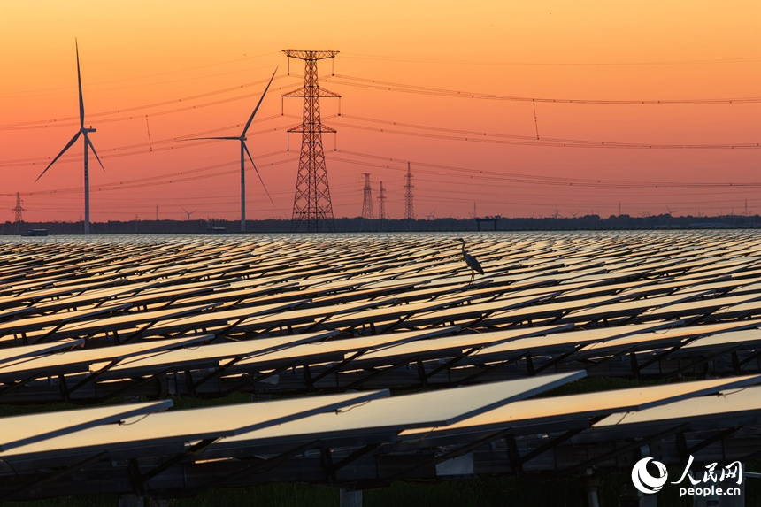 New energy projects spring up in western area of NE China's Jilin