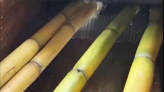 Trending in China | Charcoal-grilled sugarcane: Traditional black sugar