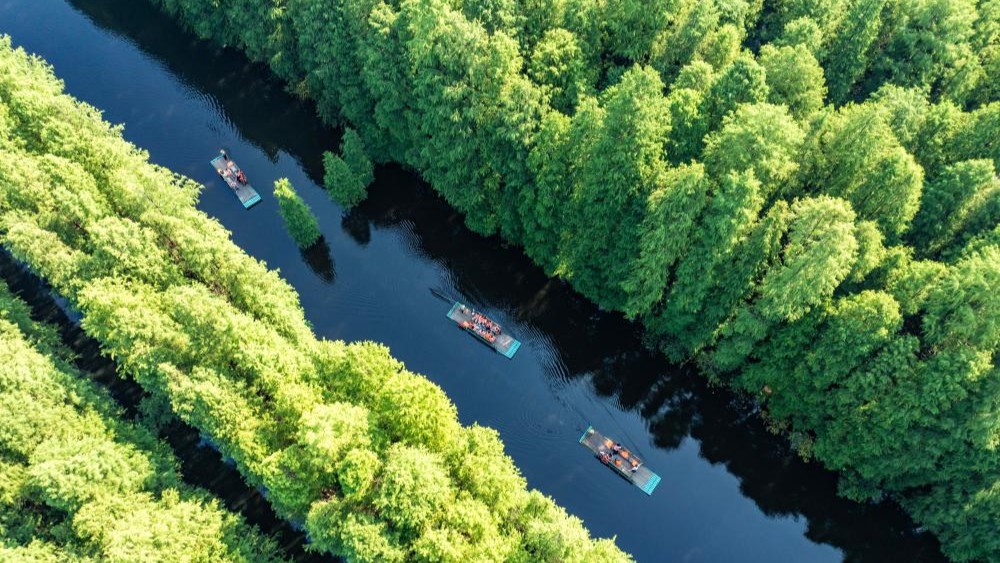 People enjoy tours across China