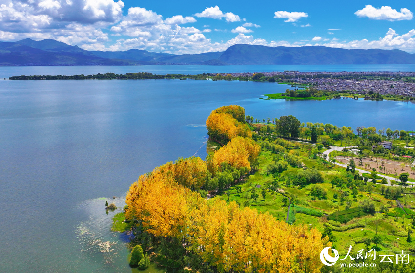 Romantic autumn scenery at Erhai Lake in Dali, SW China's Yunnan