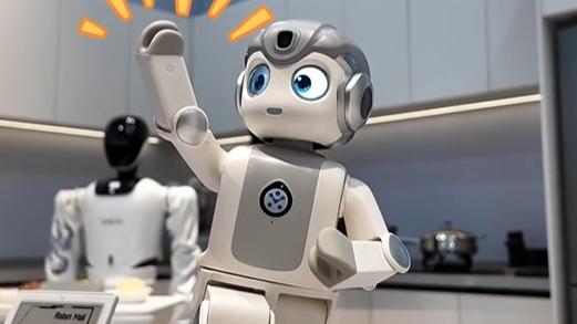 PD Vlog | If I were the boss of robots...