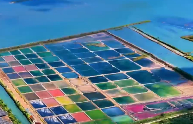 Earth's color palette from above