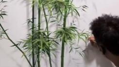 Mind-blowing 3D bamboo mural