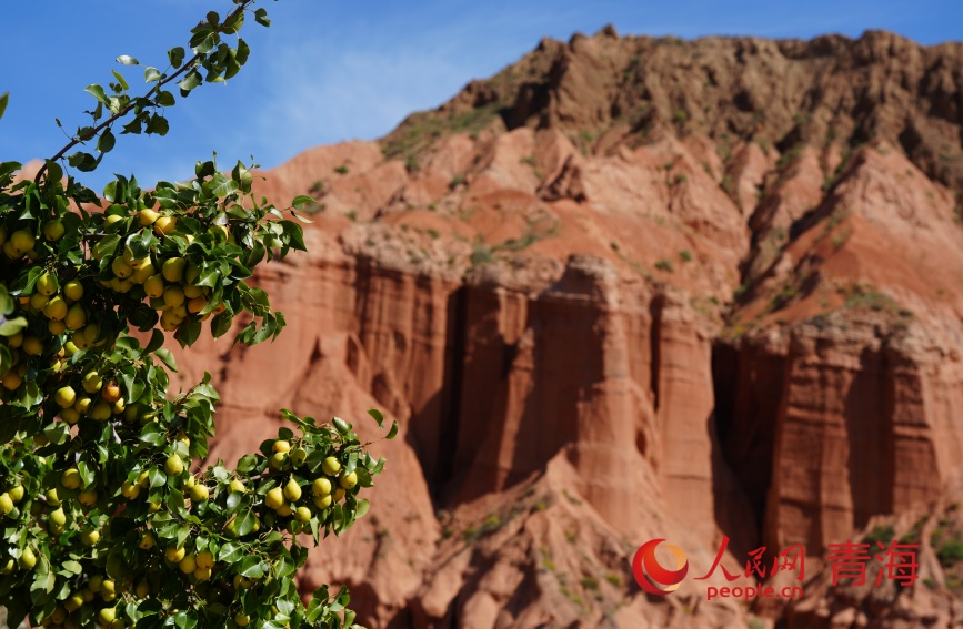 Stunning views of Danxia landform at Guide National Geopark in NW China's Qinghai