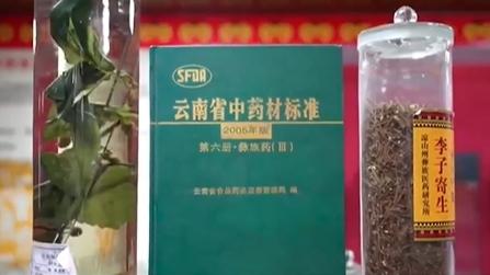 Trending in China | Exploring Yi medicine, a national treasure of China