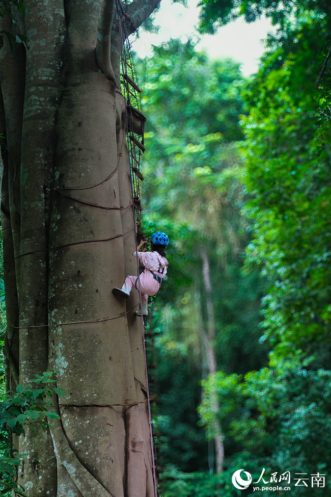 Rainforest hiking boosts economy in township in SW China's Yunnan