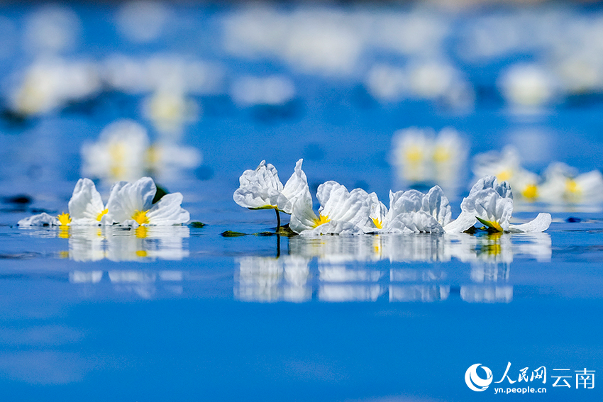 Breathtaking views of Erhai Lake in SW China's Yunnan