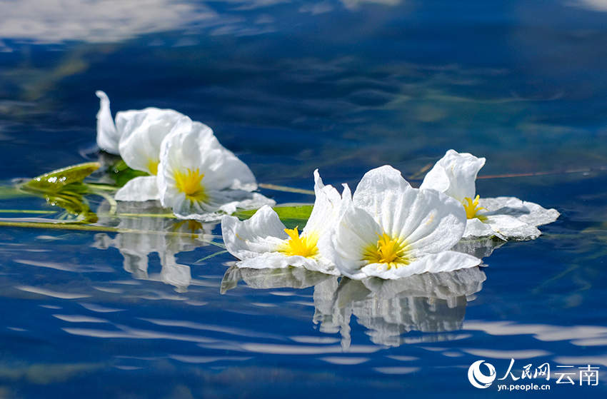 Breathtaking views of Erhai Lake in SW China's Yunnan