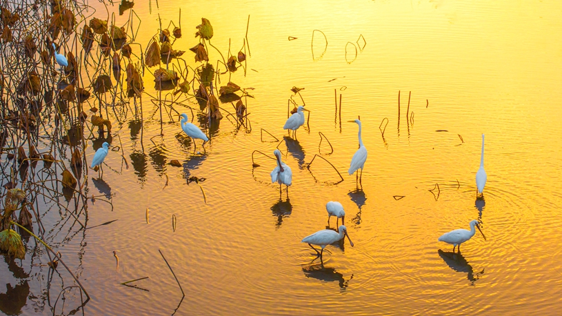 Winter scenery across China