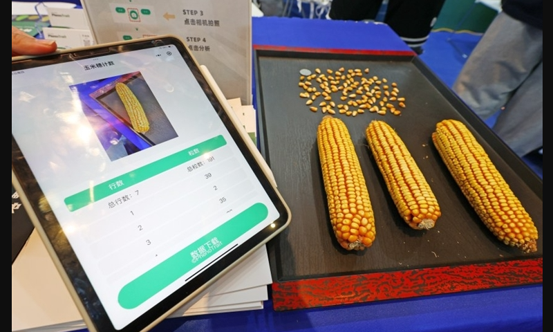 The smart seed counting applet on display at the 2025 Seed Congress and Nanfan Agricultural Silicon Valley Forum held in Sanya, South China's Hainan Province from March 19 to March 23, 2025. Photo: Sanya Daily